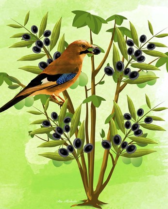 Framed Bird on Plant Print