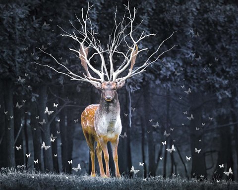 Framed Magical Deer Print