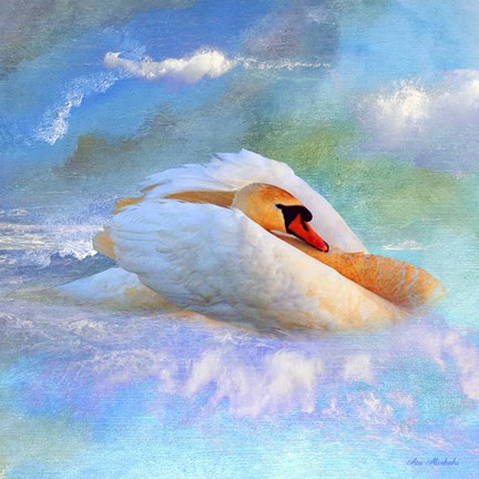Framed Beautiful Swan 2A Print