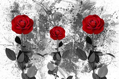 Framed Red Roses Print