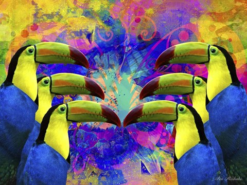 Framed Colorful Birds A1A Print