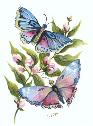 Framed Butterfly in Pink and Blue Print