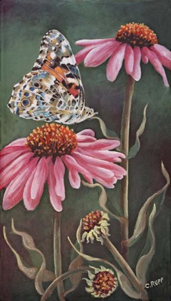 Framed Coneflower with Butterfly Print