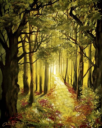 Framed Sunlit Forest Path Print