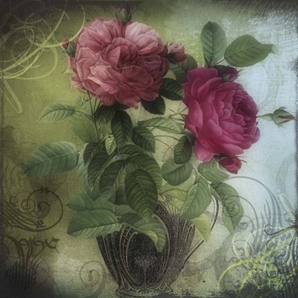 Framed Tea and Roses II Print