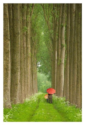 Framed Two Umbrellas, Belgium Print