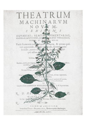 Framed Botanical 2 Print