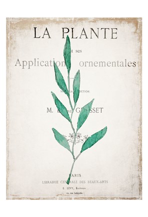 Framed Botanical Pages 1 Print