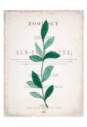 Framed Botanical Pages 2 Print