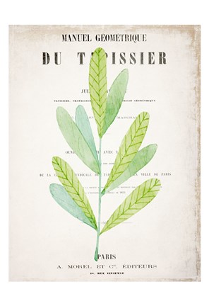 Framed Botanical Pages 3 Print