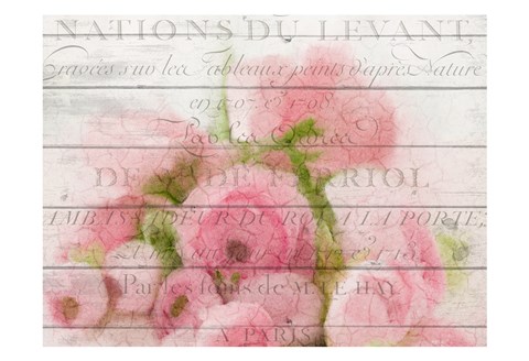 Framed Roses in Paris Print