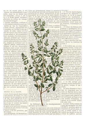 Framed Fresh Herbs 3 Print
