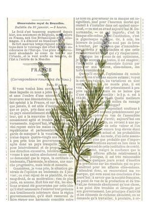 Framed Fresh Herbs 4 Print