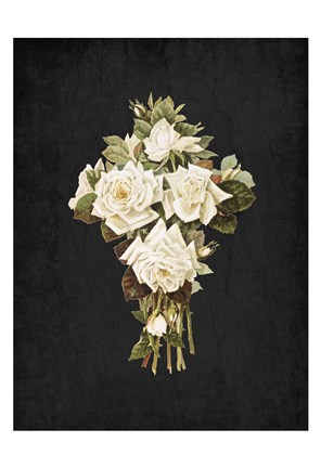 Framed Roses on Black 3 Print