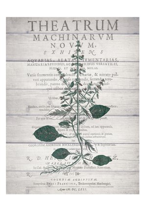 Framed Botanical B v2 Print