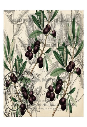 Framed Olive Branches Print