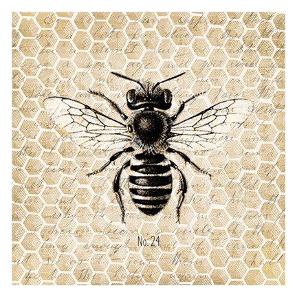 Framed Honeycomb No 24 Print