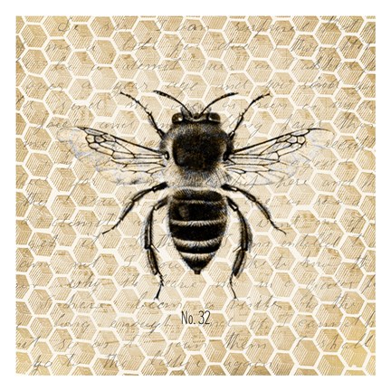 Framed Honeycomb No 32 Print