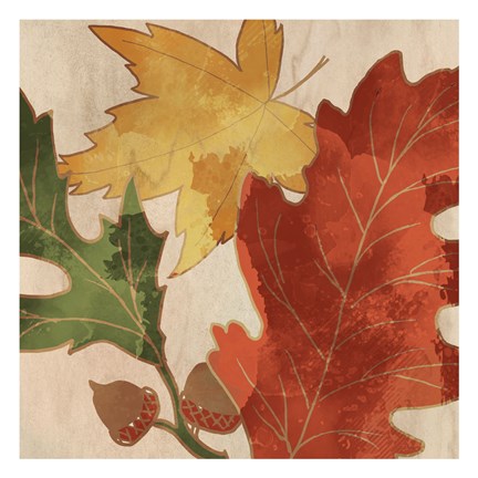 Framed Fall Leaves Square 2 Print