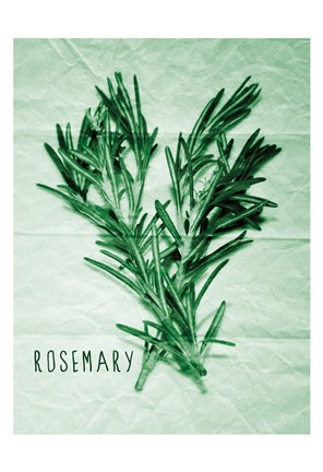 Framed Rosemary Paper Scraps Print