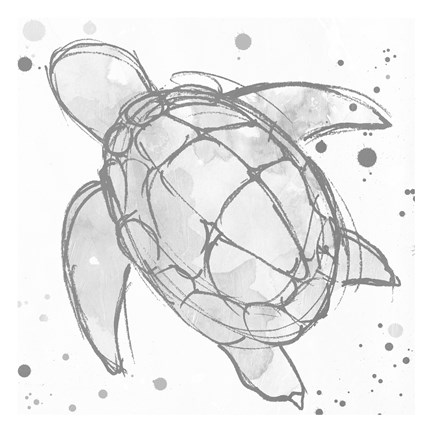 Framed Minimal Sketch Turtle Grey Print