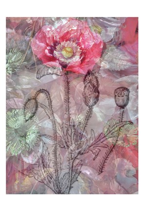 Framed Deep Blossom 1 Print