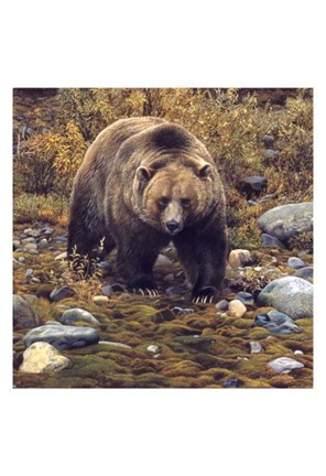 Framed Trailblazer - Grizzly Bear (detail) Print