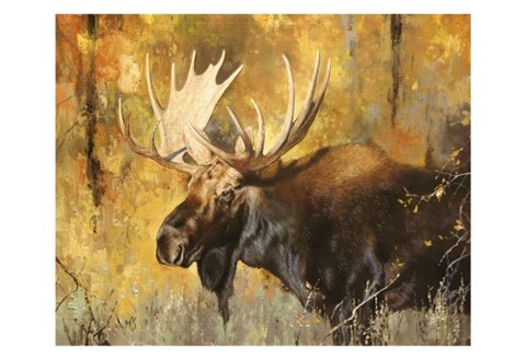 Framed Autumn Moose Study #1 Print