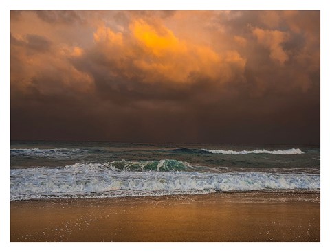 Framed Shoreline Gold Print