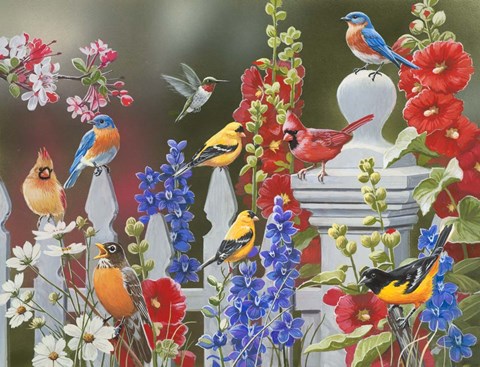 Framed Birds - Spring &amp; Summer Print