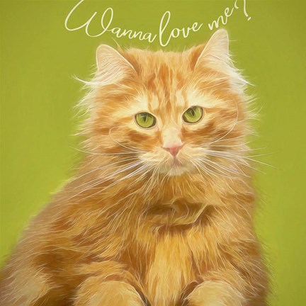 Framed Wanna Love Me Cat Print