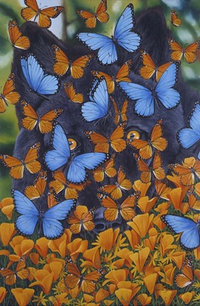 Framed Autumn Butterflies Print