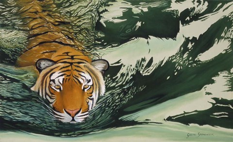Framed Tiger Waters Print