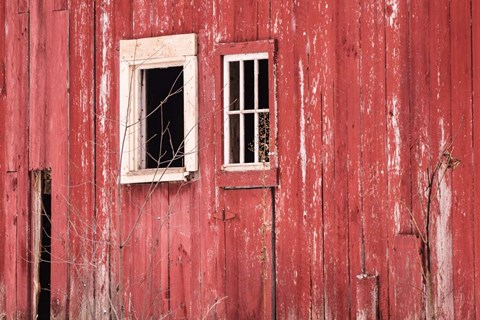 Framed Barn Windows Print