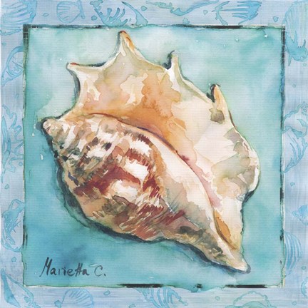 Framed Shell 3 Print