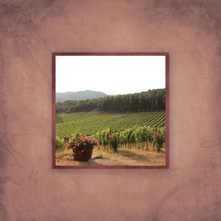 Framed Tuscan Vineyard II Print