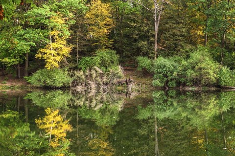 Framed Autumn Forest Reflections Lake Side Print