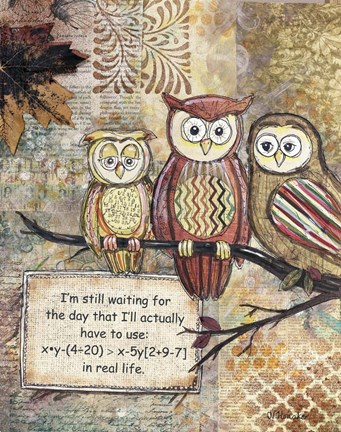 Framed Wise Owls Print