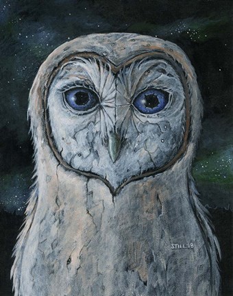 Framed Barn Owl III Print