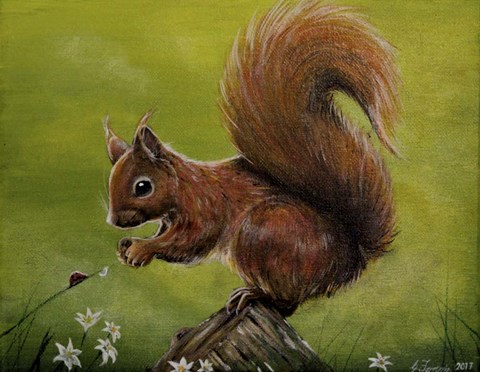 Framed Squirrel Print