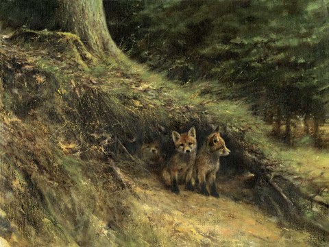 Framed Fox Cubs Print
