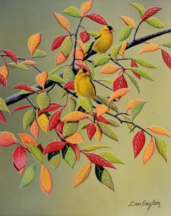 Framed Backyard Goldfinches Print