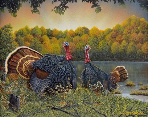Framed Turkey Season Print