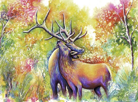 Framed Elk Love Print