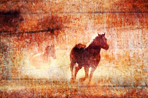 Framed Horses Running Free Print