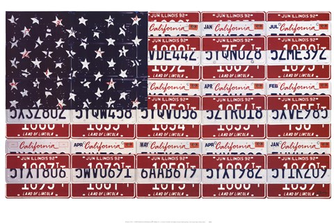 Framed USA License Flag Print