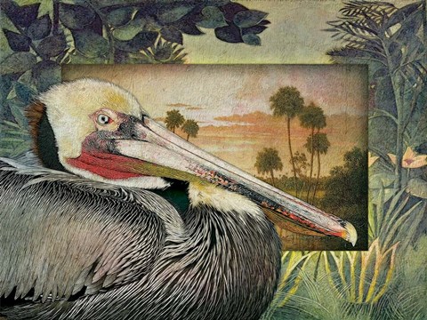 Framed Pelican Paradise I Print