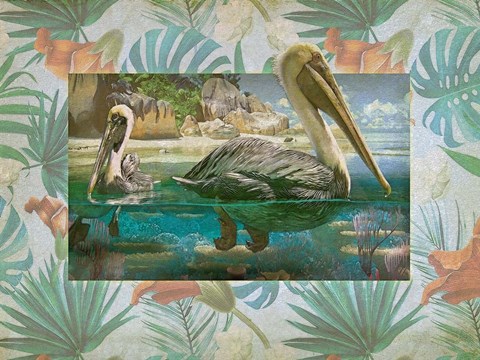 Framed Pelican Paradise V Print
