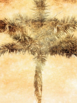 Framed Palms on Brown IV Print