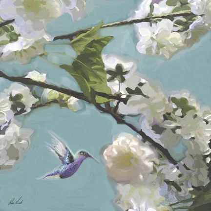 Framed Hummingbird Florals II Print